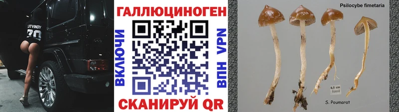 Галлюциногенные грибы ЛСД  Можайск 