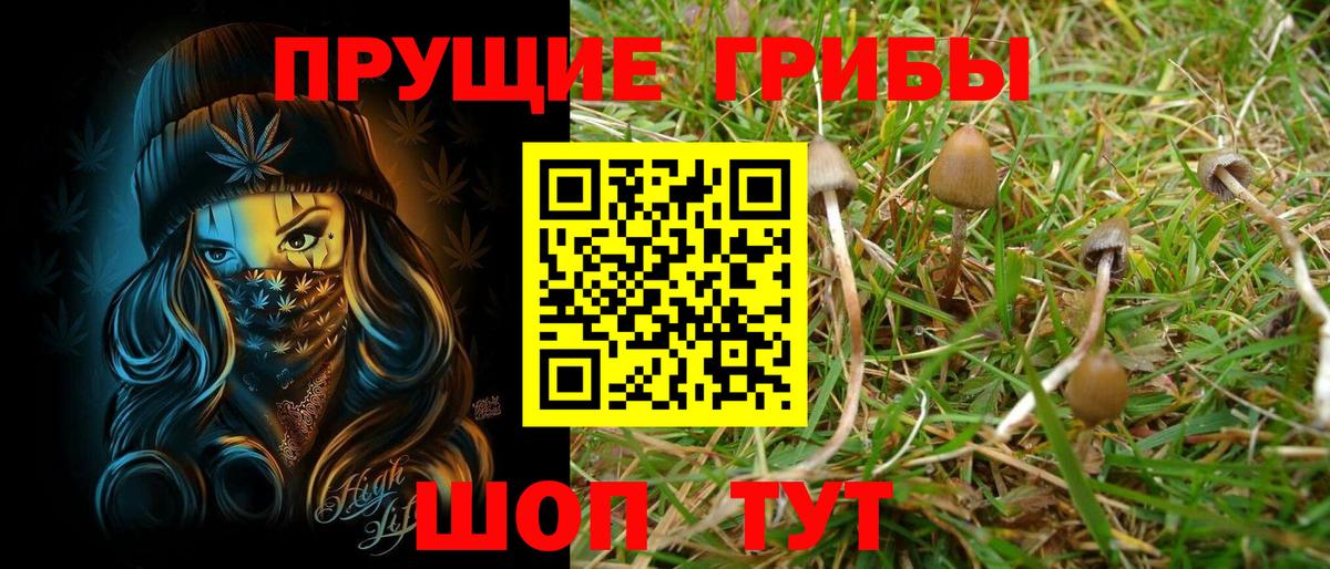 Галлюциногенные грибы Psilocybe  Галлюциногенные грибы ЛСД  Можайск 