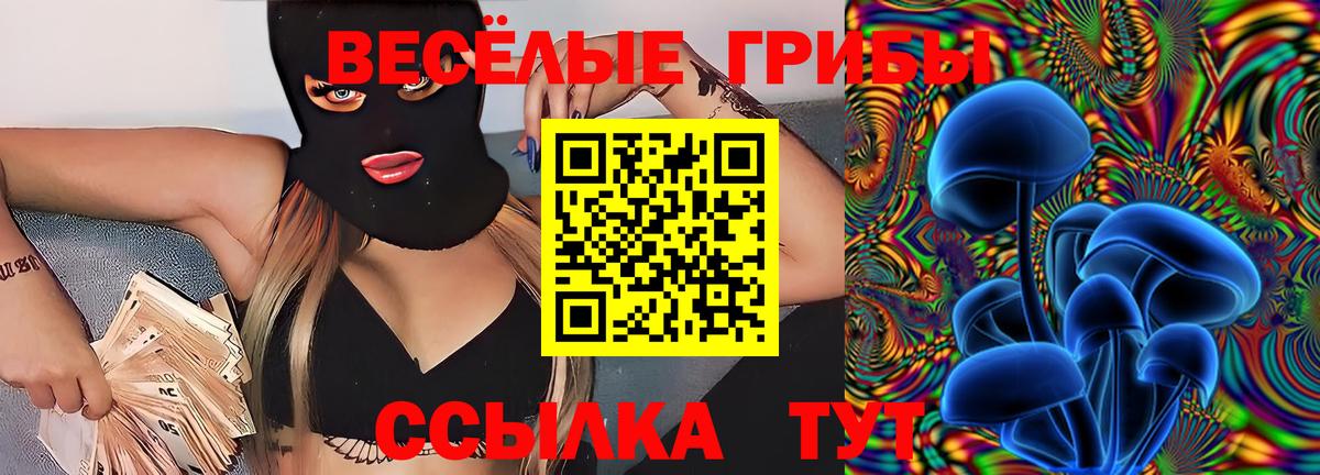 Галлюциногенные грибы прущие грибы Можайск