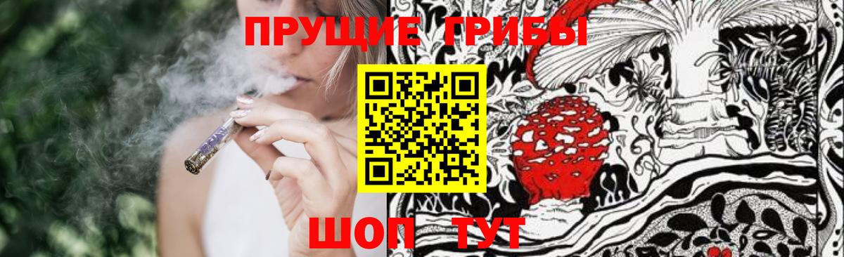 Псилоцибиновые грибы Psilocybine cubensis Можайск